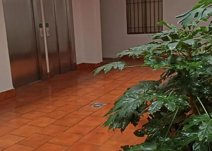 Centro Rincon De San Miguel