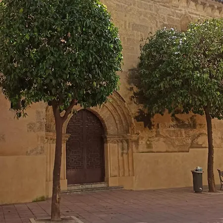 Centro Rincón De San Miguel *